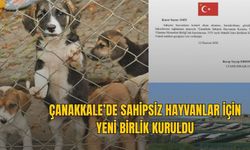 ÇANAKKALE’DE SAHİPSİZ HAYVANLAR İÇİN YENİ BİRLİK KURULDU