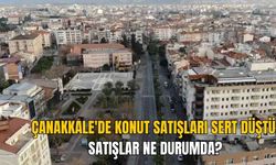 Çanakkale'de Konut Satışları Sert Düştü: Mayıs Ayında 768 Konut El Değiştirdi