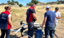 Kayacık Köyü’nde çekirgeye karşı drone destekli mücadele