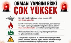 Ormanlarımız yangın riski yüksek!