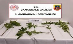 Çanakkale ve 5 ilçede yasaklı madde operasyonlarında 15 gözaltı