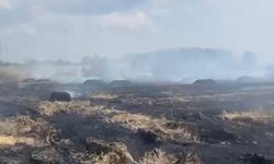 Çanakkale'de üreticilere yangın tedbirlerini artırın çağrısı