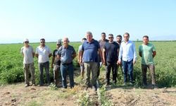 Manyas Gölü'nden gelen ilaçlı su sorununa üretici çözüm bekliyor