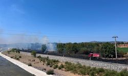 Ayvacık'ta otluk alanda çıkan yangın söndürüldü