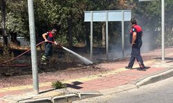 Çanakkale'de yol kenarında çıkan yangında köpek mahsur kaldı