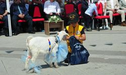 Çanakkale'yi zirveye taşıyan sır ne? İşte çocukların geleceğini şekillendiren şehir