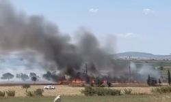 Biga'da tarım arazisinde yangın çıktı; Ekipler yangına müdahale etti!