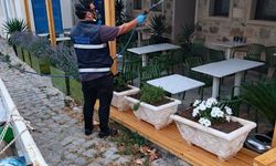 Bozcaada'da Vektörle Mücadele Aralıksız Sürüyor