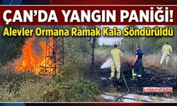 Çan'da Yangın Paniği! Alevler Ormana Ramak Kala Söndürüldü