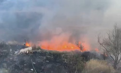 Sarıcaeli'nde çıkan yangın köylülerin hızlı müdahalesiyle büyümeden söndürüldü