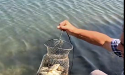 Yenice'de Kaçak Avcılığa Geçit Yok