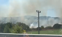 Ayvacık'ta yangın paniği! Gemedere'de alevlere müdahale sürüyor