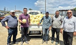 Ezine'de karpuz ve kavun hasadı sürüyor: Üreticinin yüzü gülüyor