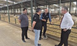 Bakanlık Heyetinden Çanakkale'ye Kritik Hayvancılık Ziyaretleri