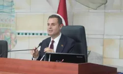 Ahmet Akın yangınlardaki son durumu paylaştı