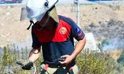 İtfaiye ekipleri bukalemunu hayata döndürdü