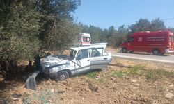 Otomobil zeytin ağacına çarptı: 2 yaralı