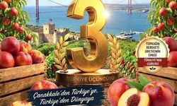 Çanakkale’de bereketli toprakların gücü: Nektarin üretiminde Türkiye 3.'süyüz