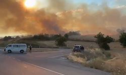 Eceabat'ta Korkutan Yangın: Trafo Patladı, Alevler Anızlara Sıçradı