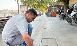 Çanakkale'de haşerelere karşı mücadele sürüyor