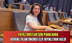 Patili dostlar için güvenli alan önerisi meclis gündemine geldi