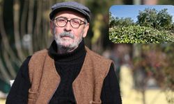 Zeytinin Geleceği İklim Krizine Bağlı: Prof. Dr. Murat Türkeş Uyardı