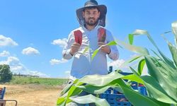 Hacıpehlivan'ın kapya biberi ve domatesi tezgâhlara hazırlanıyor