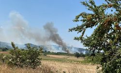 Çanakkale Orman Bölge Müdürlüğü'nden uyarı!