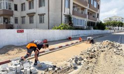 Lapseki’de Çalışmalar İlçe Genelinde Sürüyor