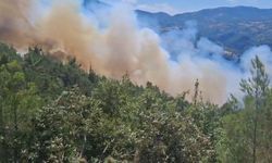Komşu il Balıkesir'de korkutan yangın