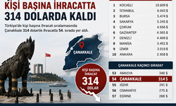 Çanakkale kişi başına ihracatta 314 dolarda kaldı