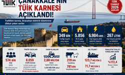 Çanakkale'nin TÜİK karnesi açıklandı! Çanakkale büyümeye devam ediyor
