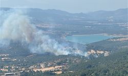Ayvacık’ta yangın ormana sıçramadan kontrol altına alındı