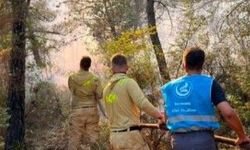 Bayramiç'teki yangında Ülkü Ocakları da sahadaydı