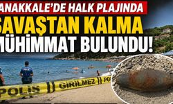 Çanakkale’de halk plajında şaşırtan keşif