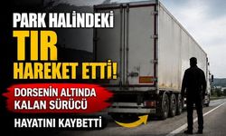 Park halindeki tır hareket etti, dorsenin altında kalan sürücü hayatını kaybetti