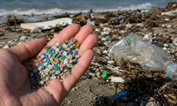 Akdeniz’de Mikroplastik Alarmı