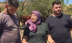 Çanakkale’de Kırsalda Bereket Projesi üreticilere güç katıyor