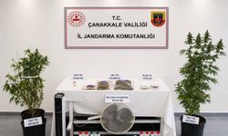 Çanakkale'de jandarmadan  operasyon: 68 şüpheliye işlem, 5 tutuklama