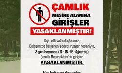 Gelibolu'da Çamlık piknik yerine girişler yasaklandı
