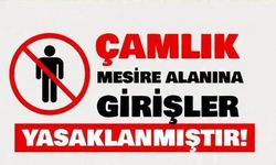 Gelibolu'da Çamlık piknik yerine girişler yasaklandı