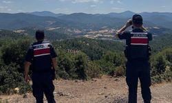 Jandarmadan orman yangınlarına karşı sıkı denetim; 23 kişiye ceza, 41 şüpheli gözaltında!