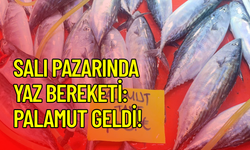 Çanakkale Salı Pazarı’nda fiyatlar belli oldu: Tezgâhlarda yaz bereketi