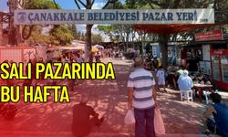 Salı Pazarında Bu Hafta Fiyatlar Nasıldı?