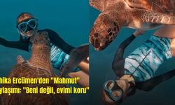 Şahika Ercümen'den "Mahmut" paylaşımı: "Beni değil, evimi koru"