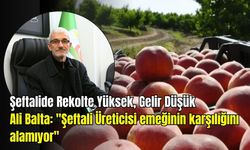 Dalında Bereket, Cebinde Zarar: Şeftali Üreticisi Alarm Veriyor