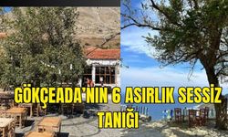 625 yıllık Tepeköy'ün sessiz tanığı Çınar Ağacı ilgi çekiyor