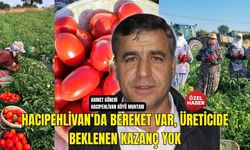 Biga'da Salça Kazanları Kaynıyor, Üretici Hesap Yapıyor