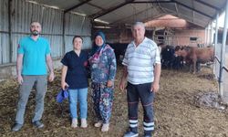 Biga’da üreticiye hayvancılık desteği: Gebe düveler teslim edildi