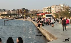 Çanakkale Marina’da tekne battı: Ekipler sudan vinçle çıkardı